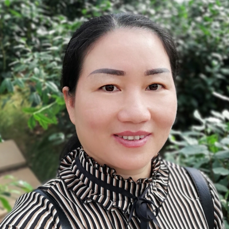 随缘梦松