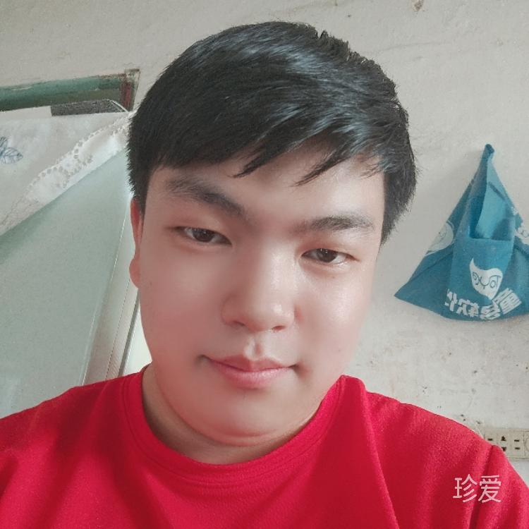 梦想与现实之间