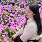 拂堤楊柳醉春煙