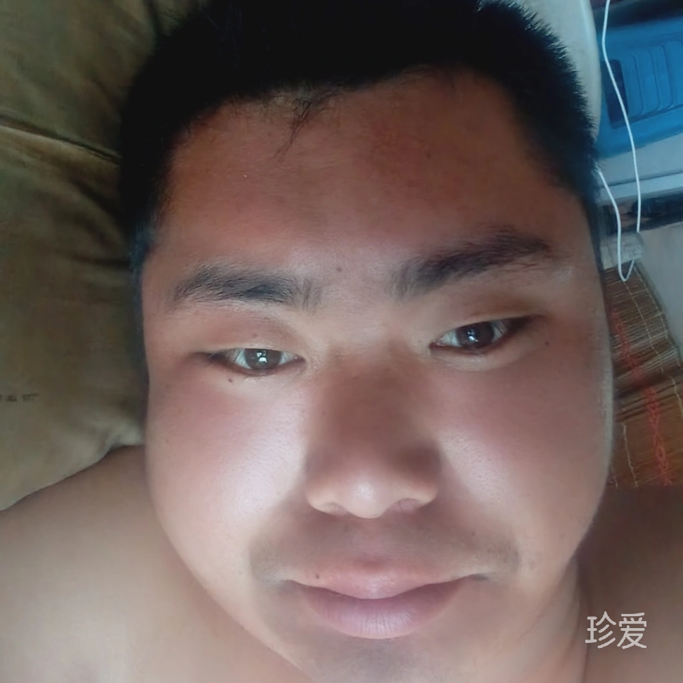 老实的狼
