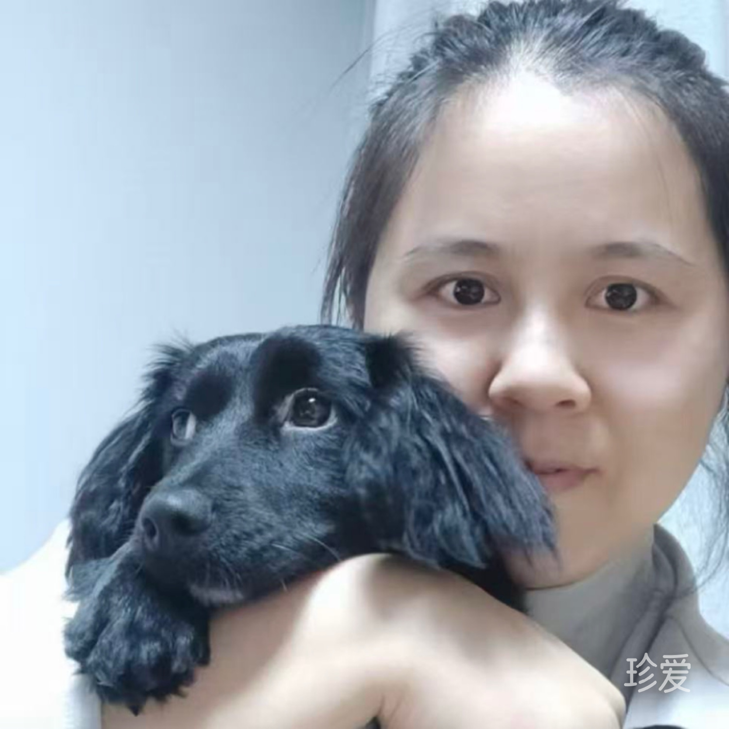 往事如风