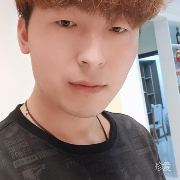 小马识途
