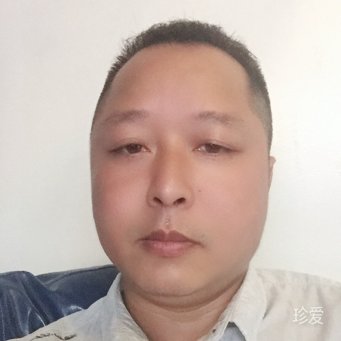 半身石象