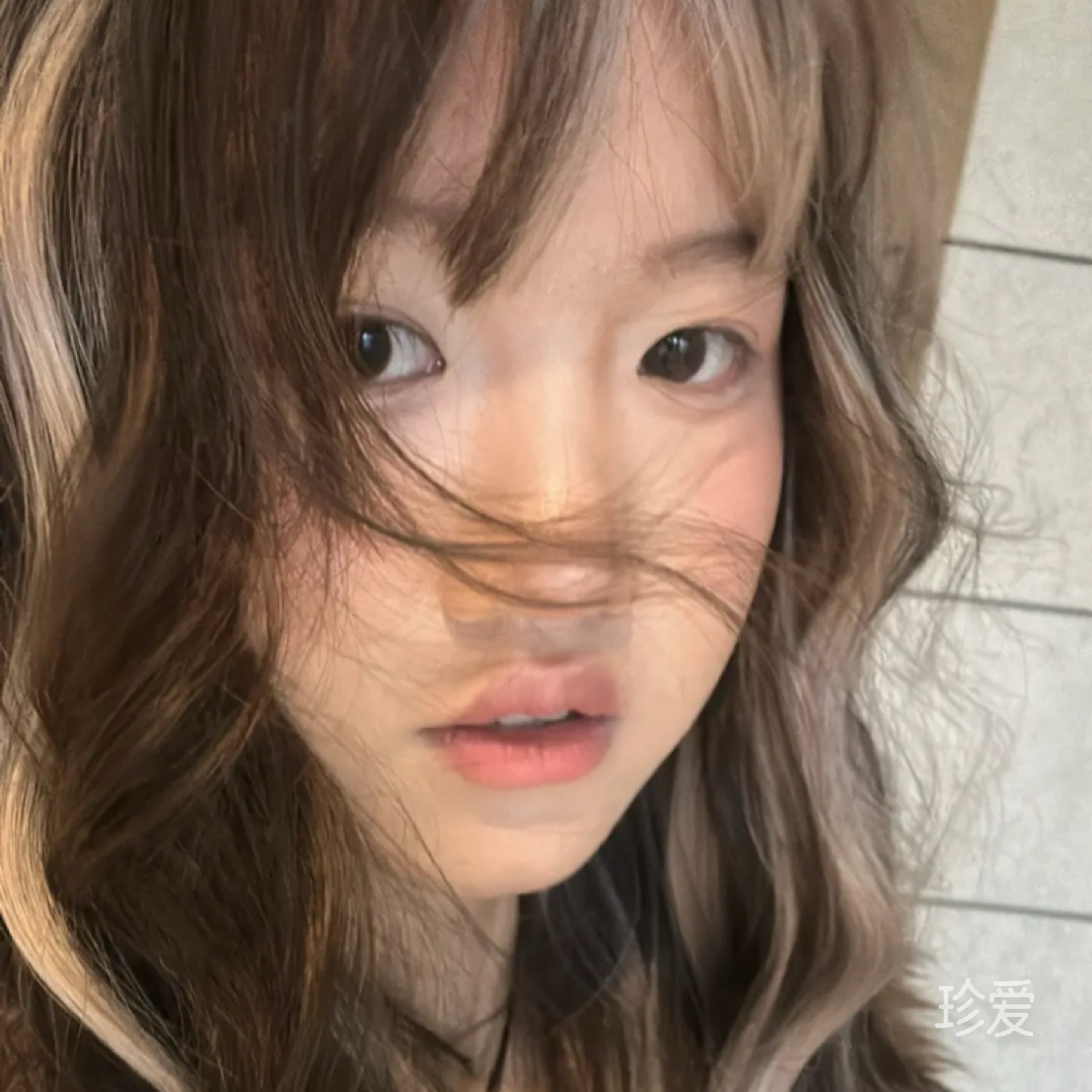 圆圆