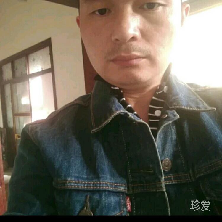 不要再來傷害我