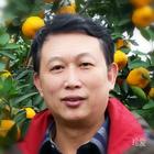 青龍?jiān)谔?></a></div> <div id=