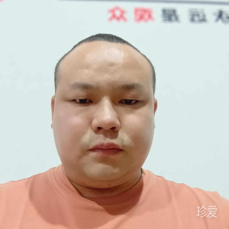 寻找真爱的神鹰