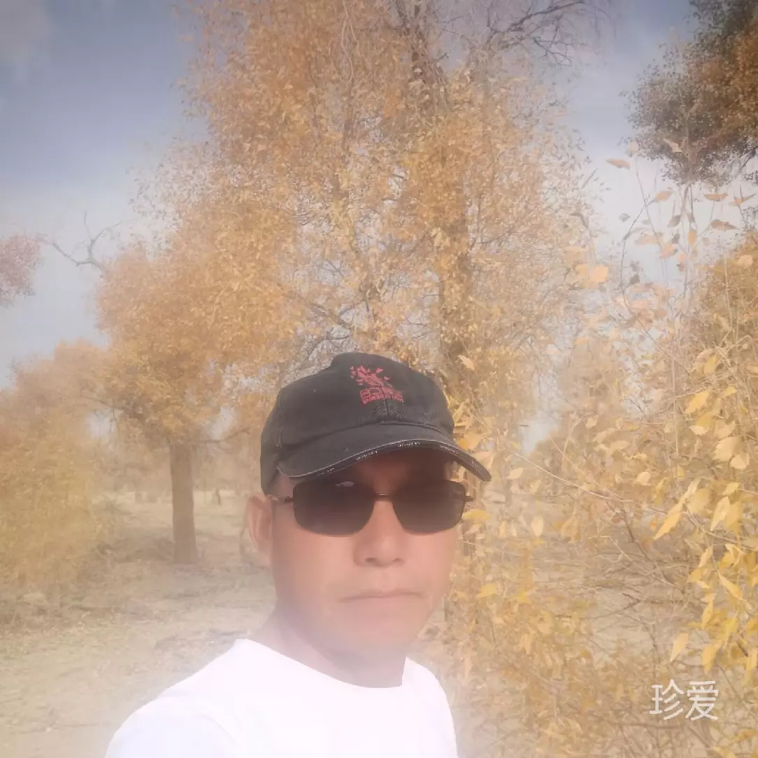 落日依旧