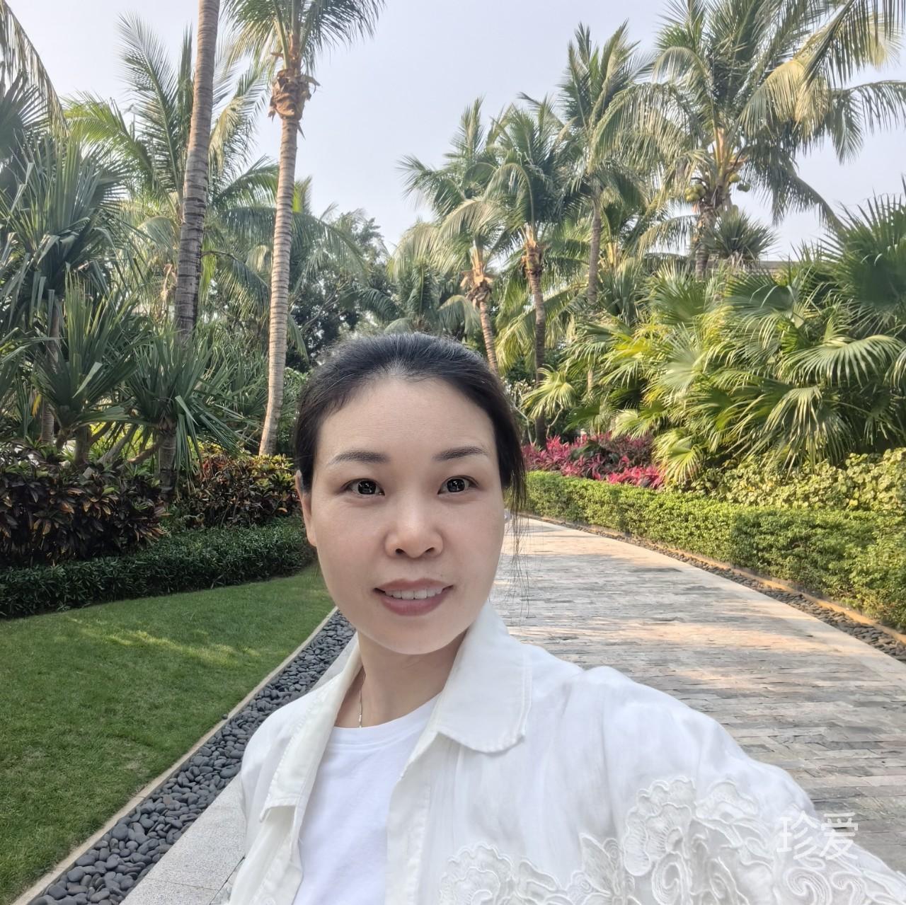 南风知意