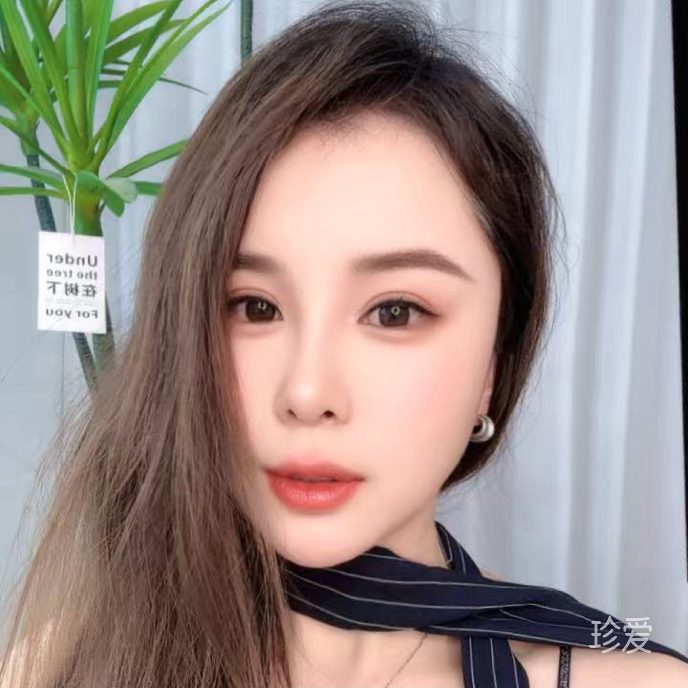 风中的水仙