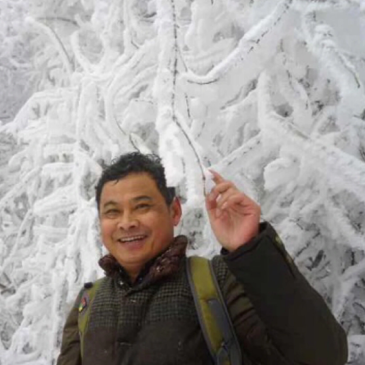 人生若只若初見