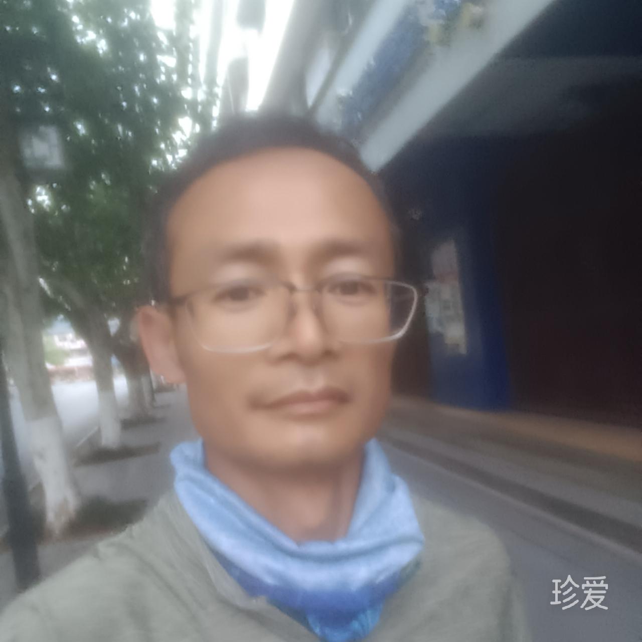 相看两不厌
