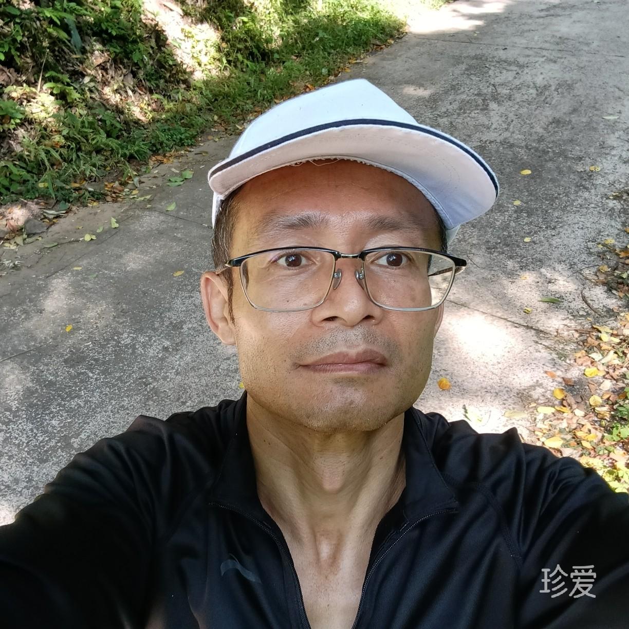 相看两不厌