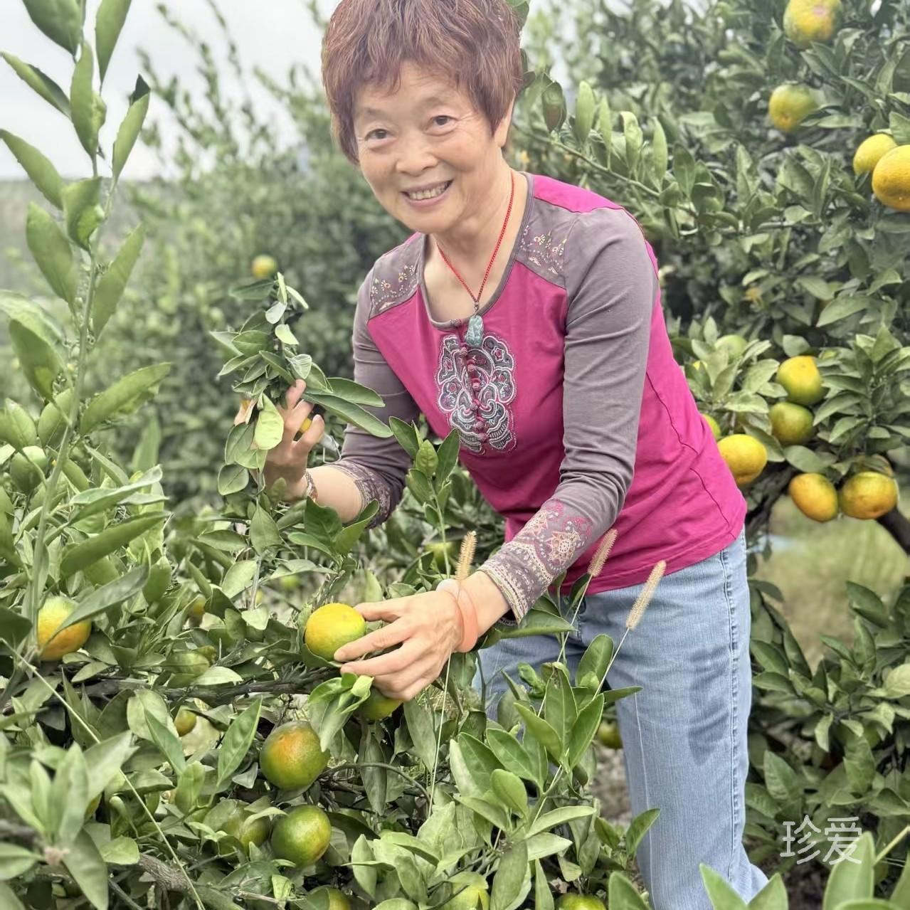 我只是绿叶