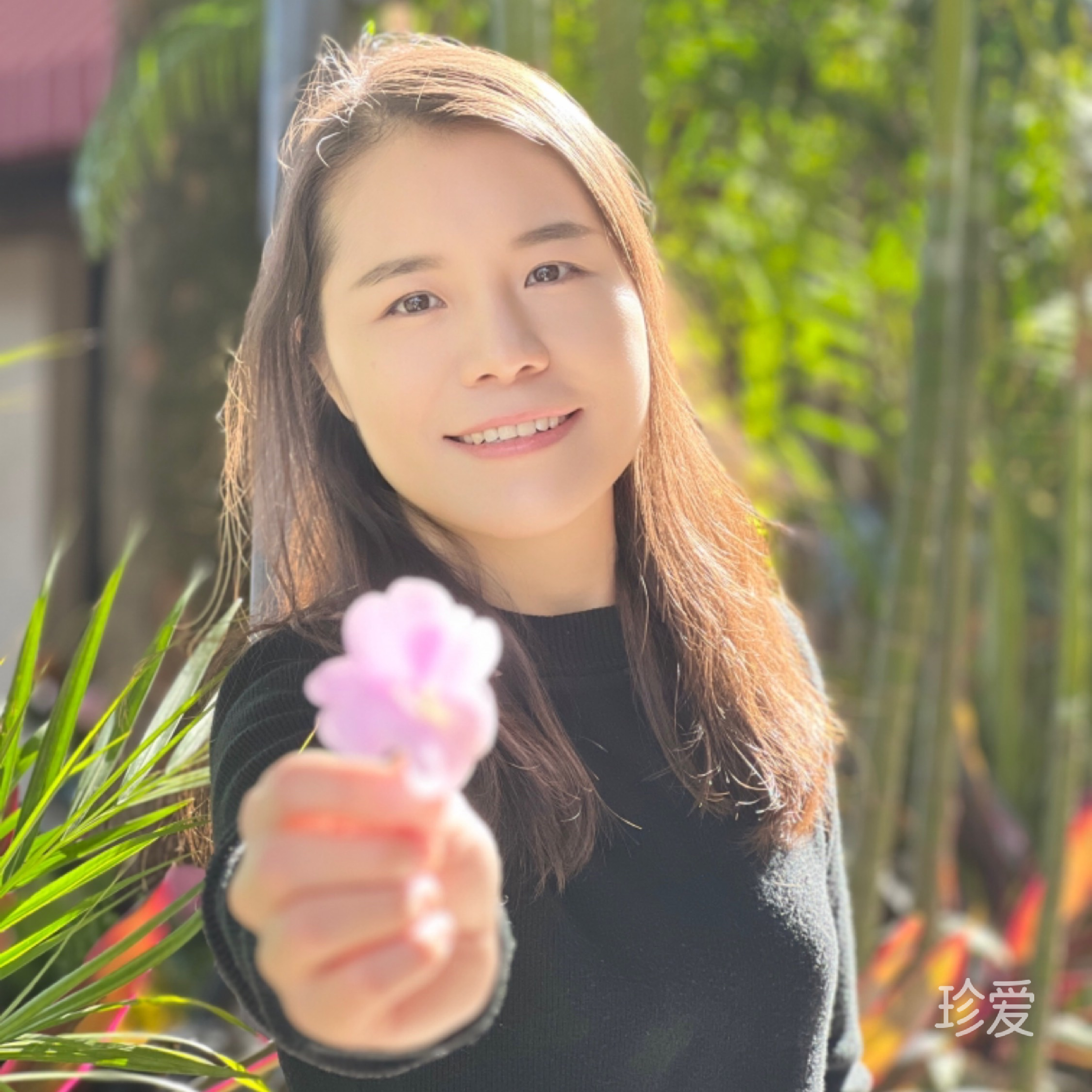 阿毛