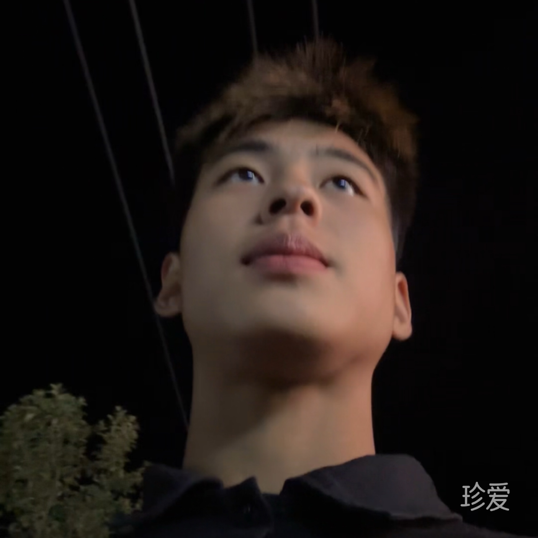 做你的港湾