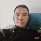 翱翔的天空