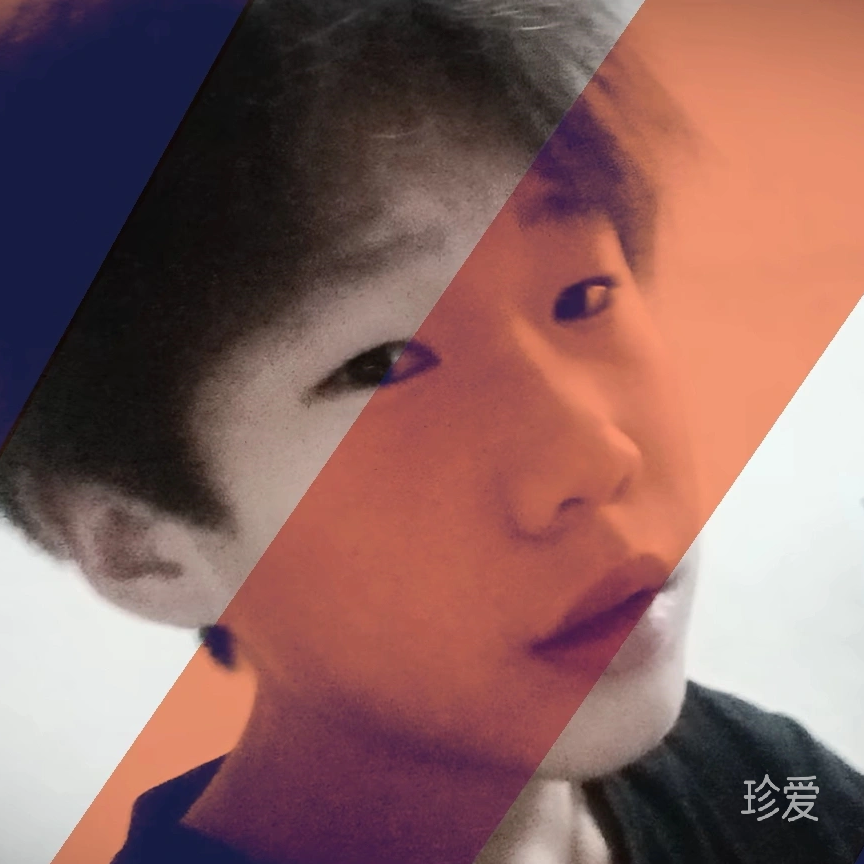 pandy