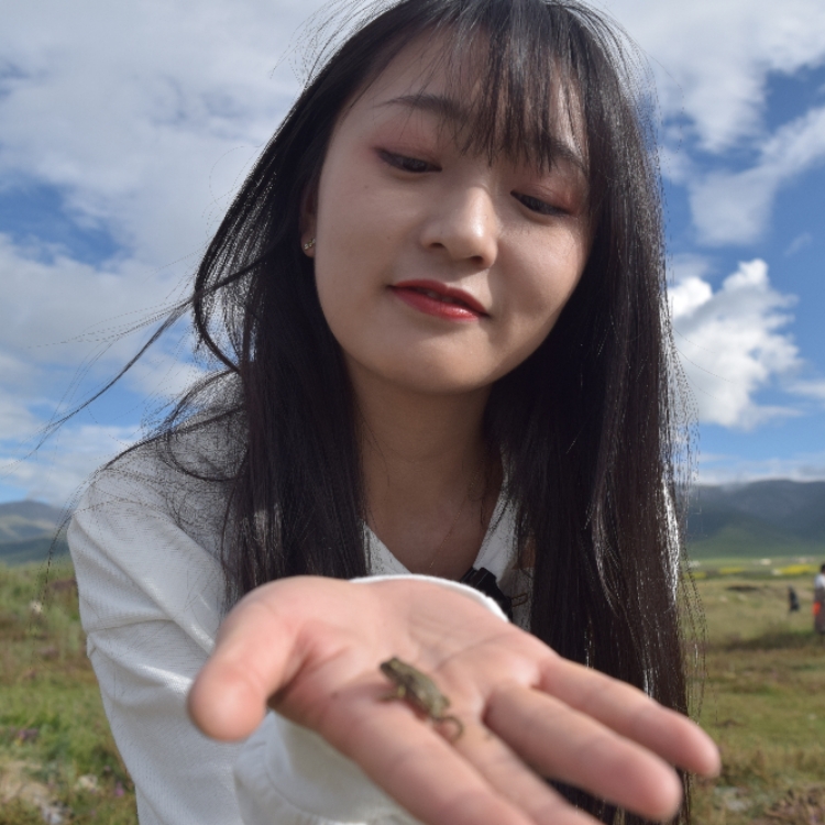 爱吃鱼干的小喵