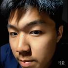 左岸的焰火