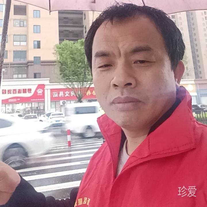 飞龙