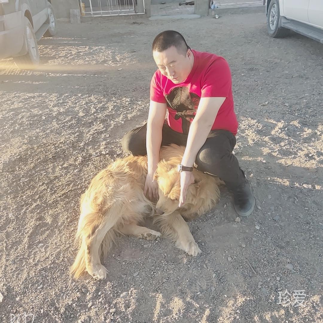 来而不往非礼也