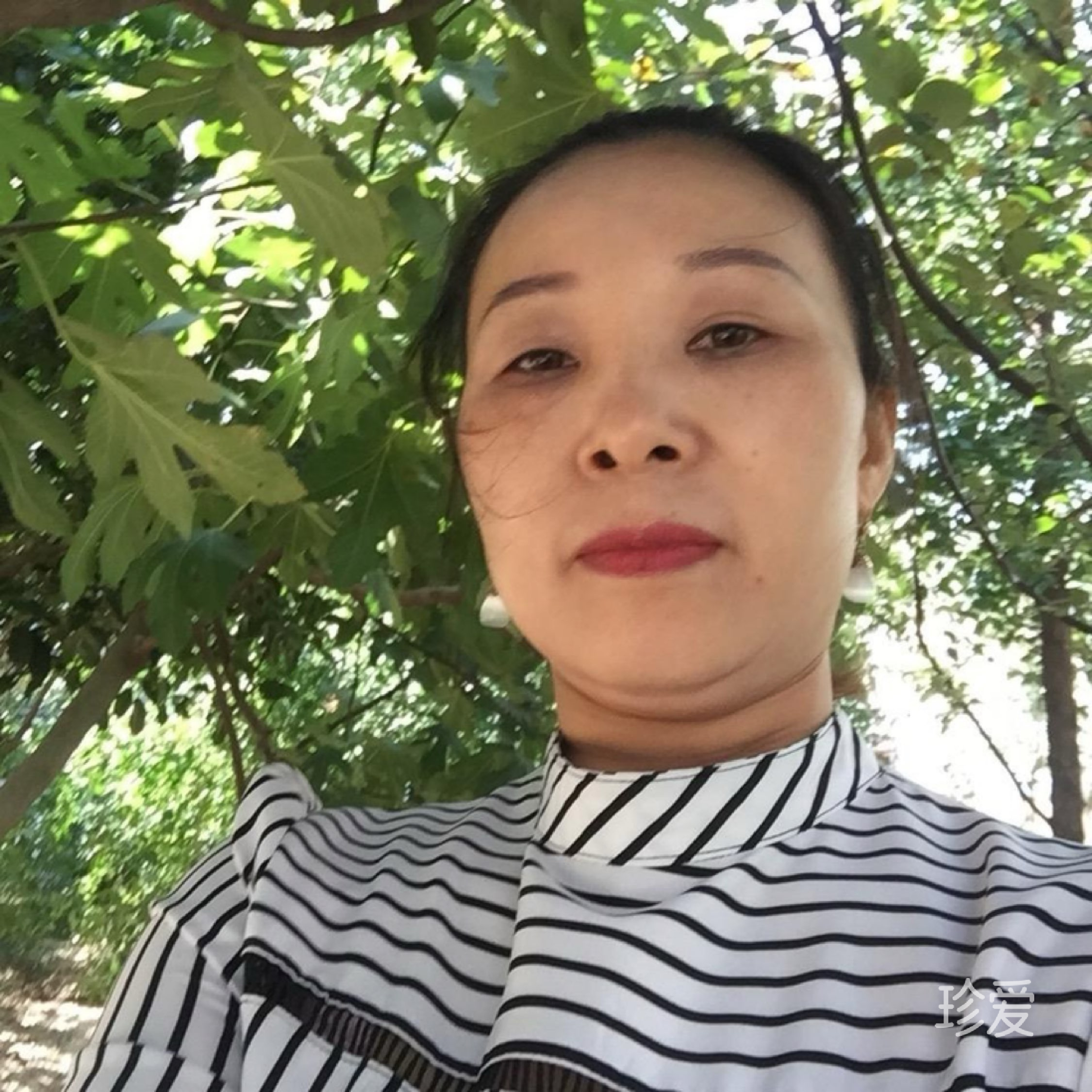 顺顺