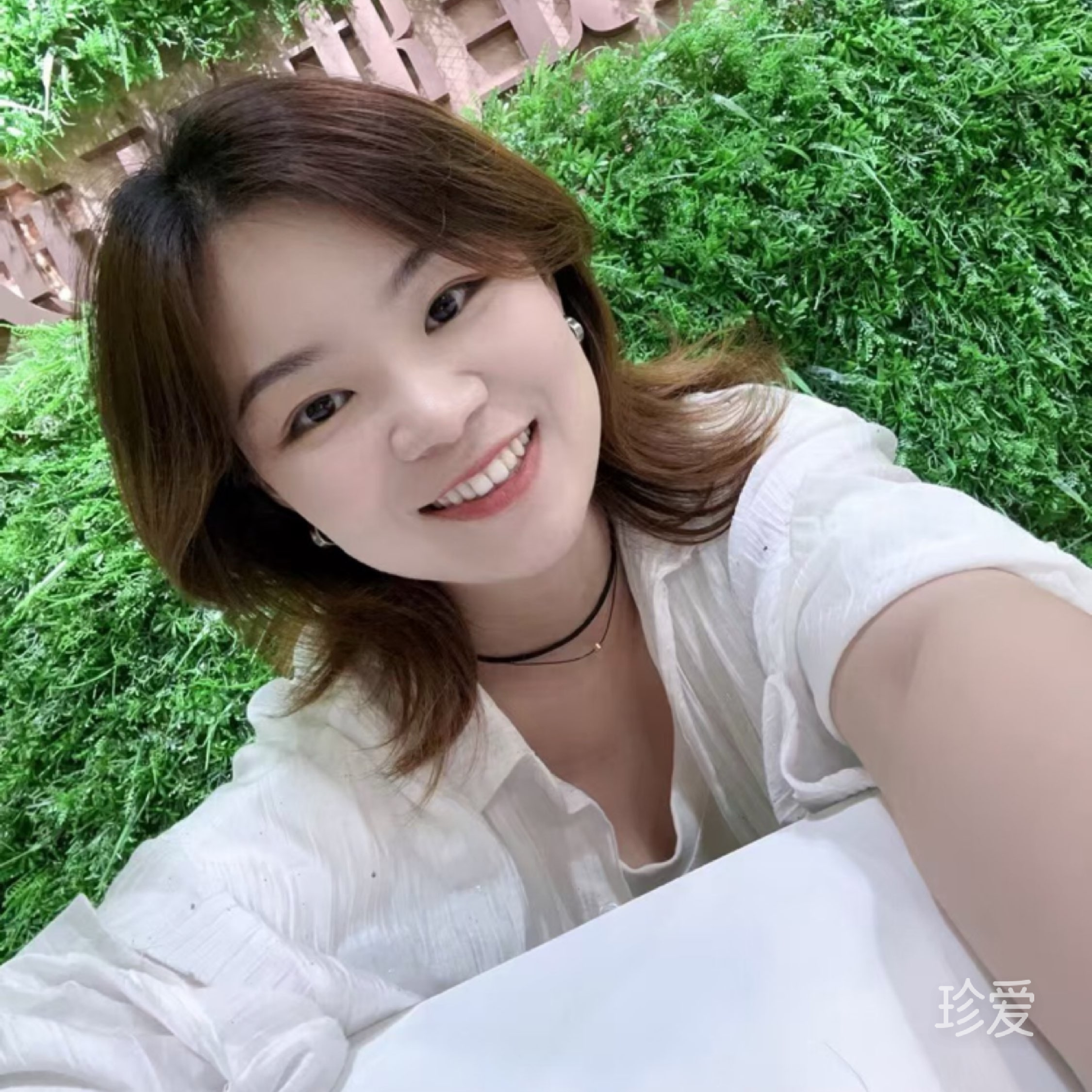 安琪