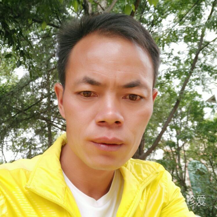 飞越梦想