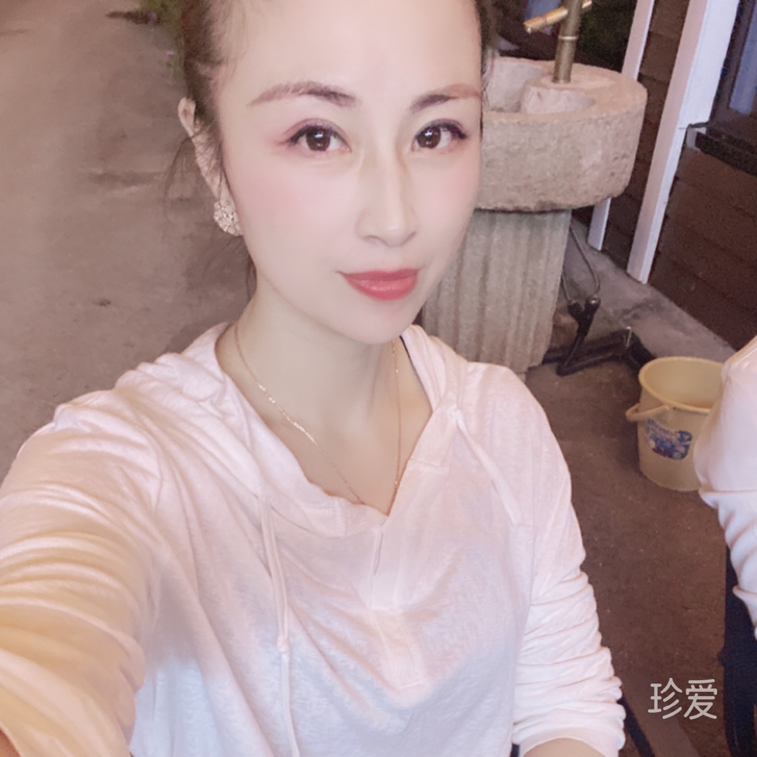 梧桐樹下的羽翼