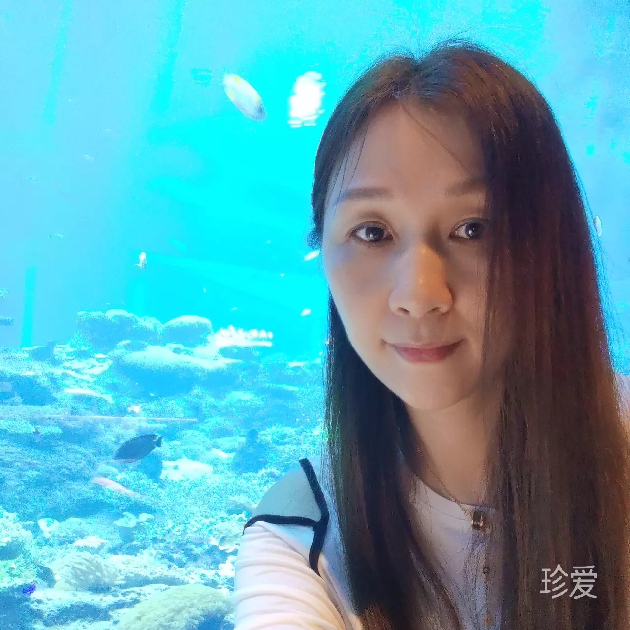 一生暖暖