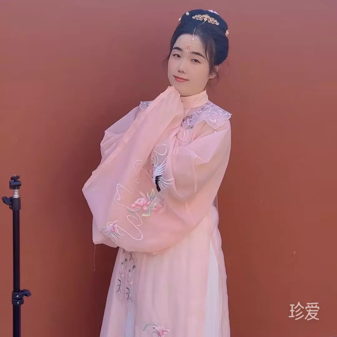 夏天的玫瑰
