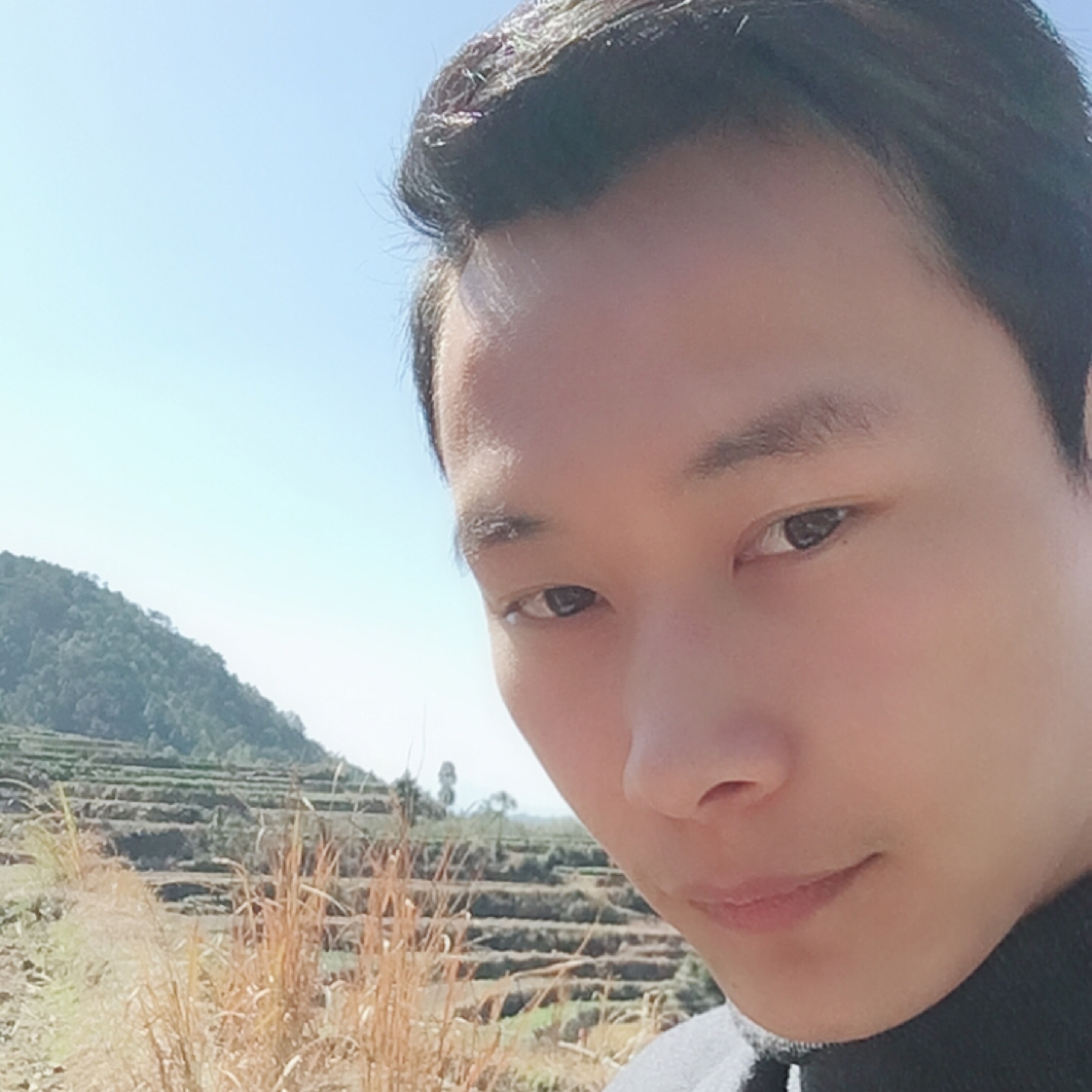 一杯淡淡的清茶