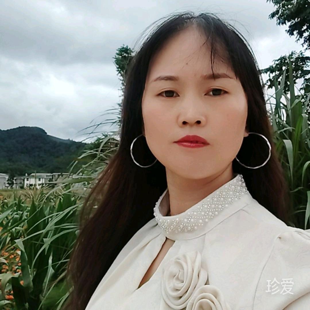 随风行