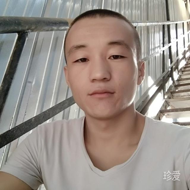 真爱追求