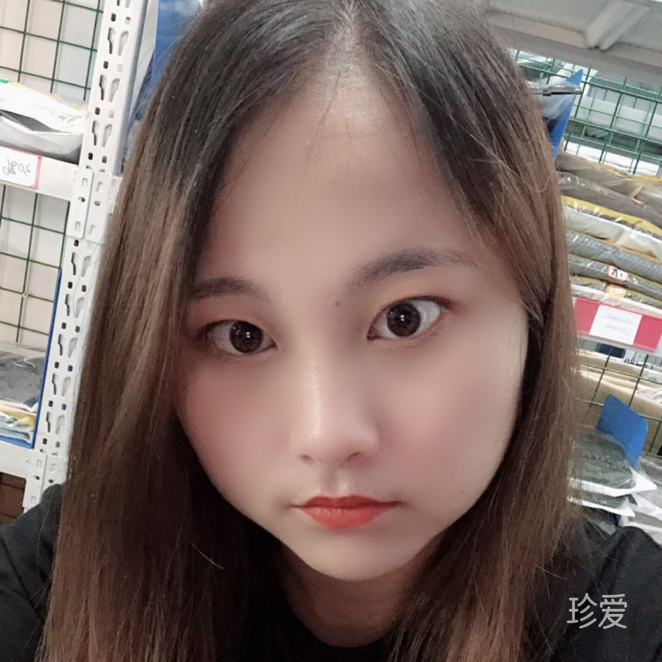 夜空下的白玫瑰