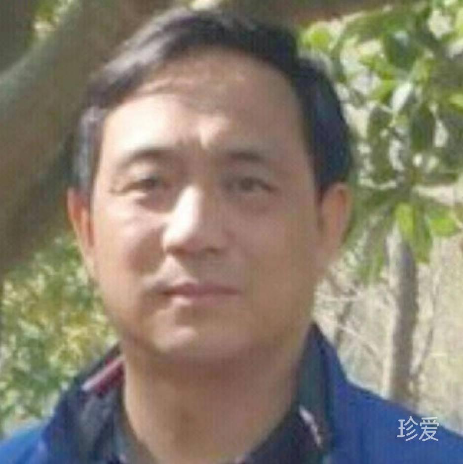 锦依卫