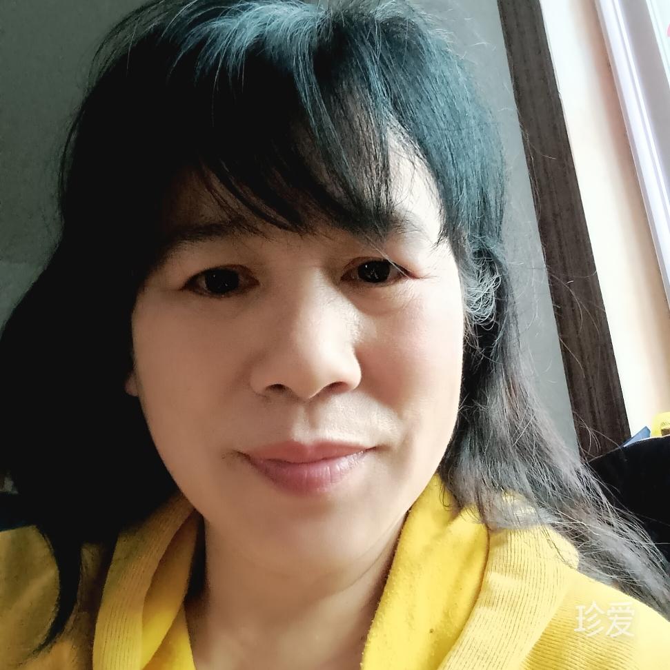 風(fēng)雨中的向日葵