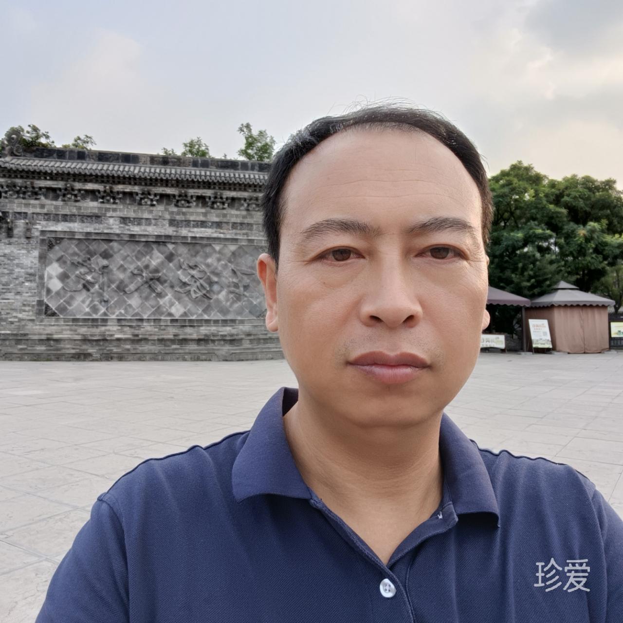 林间鸟语