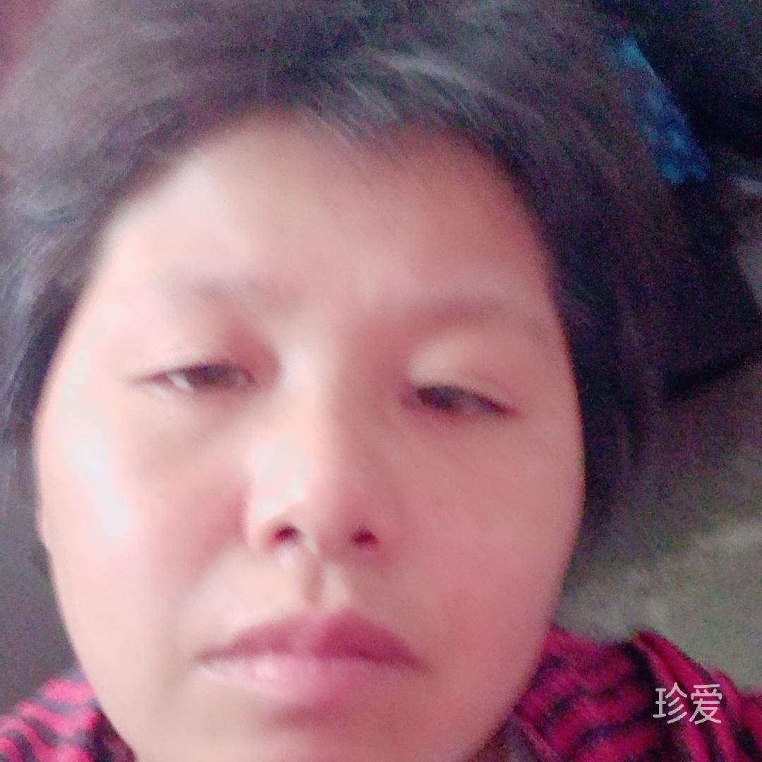 夜来女人