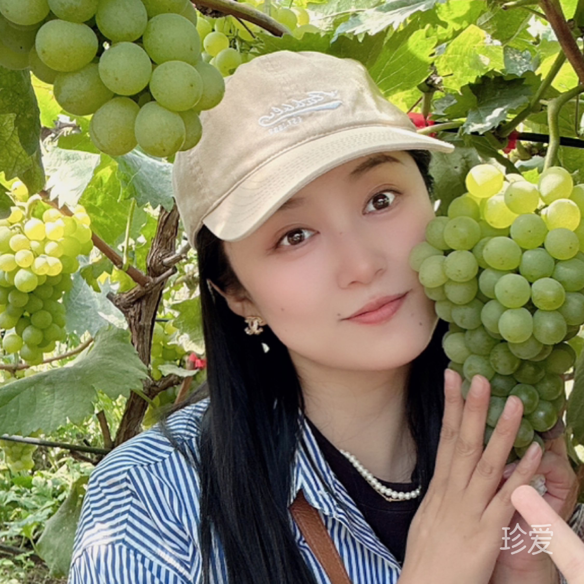 愛(ài)跑步的晶晶