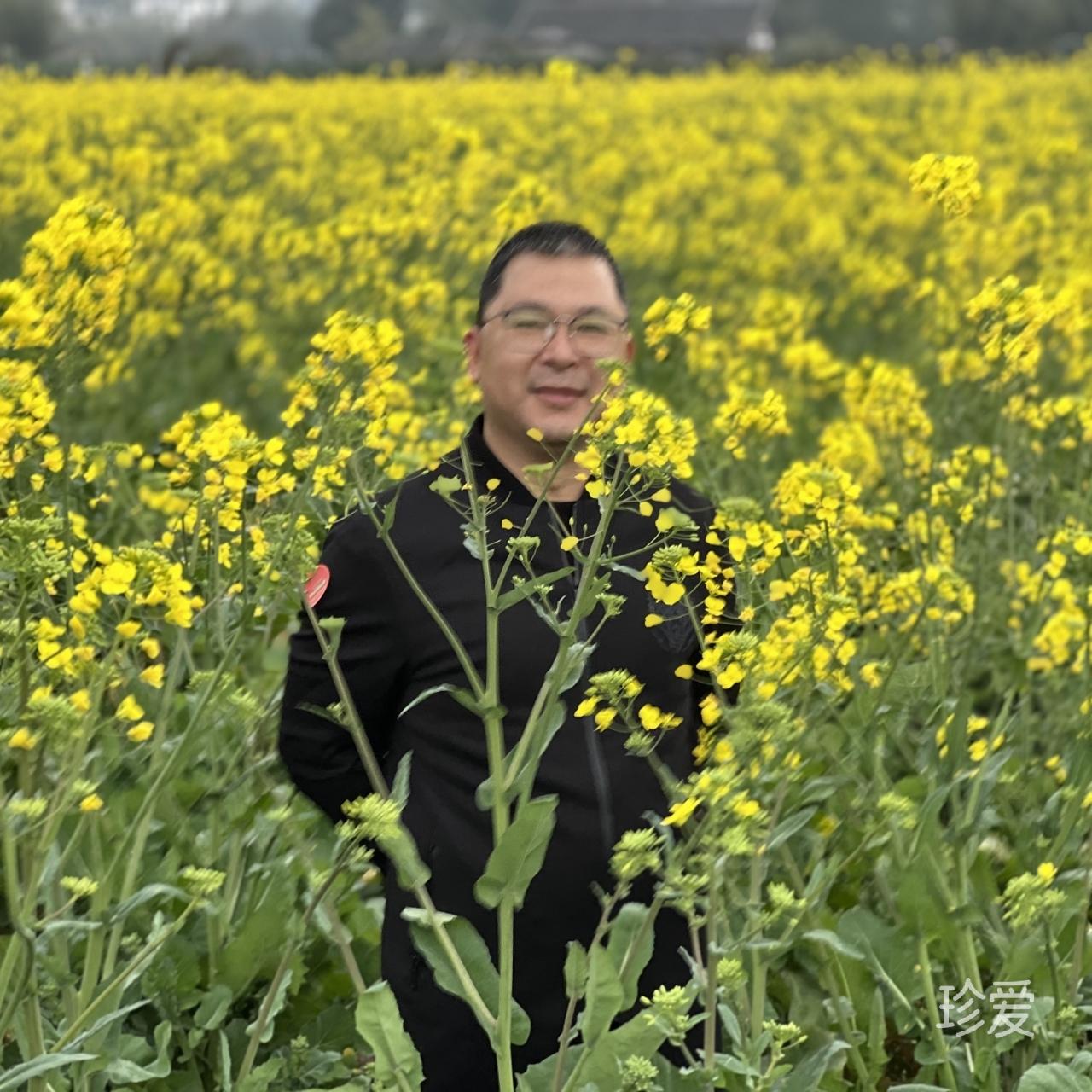 人生若只如初见