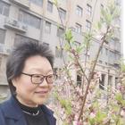 盛開(kāi)的玫瑰