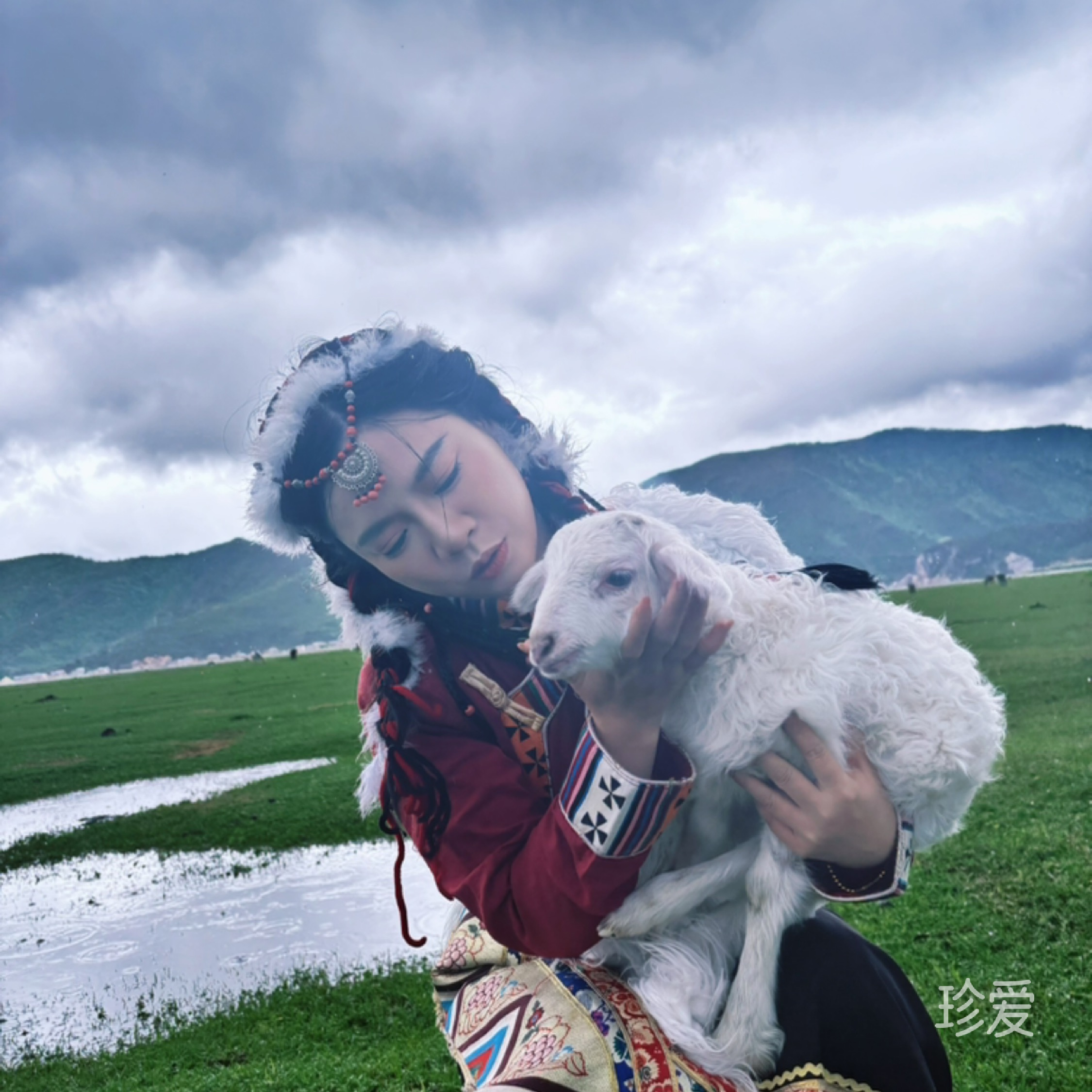 淼淼