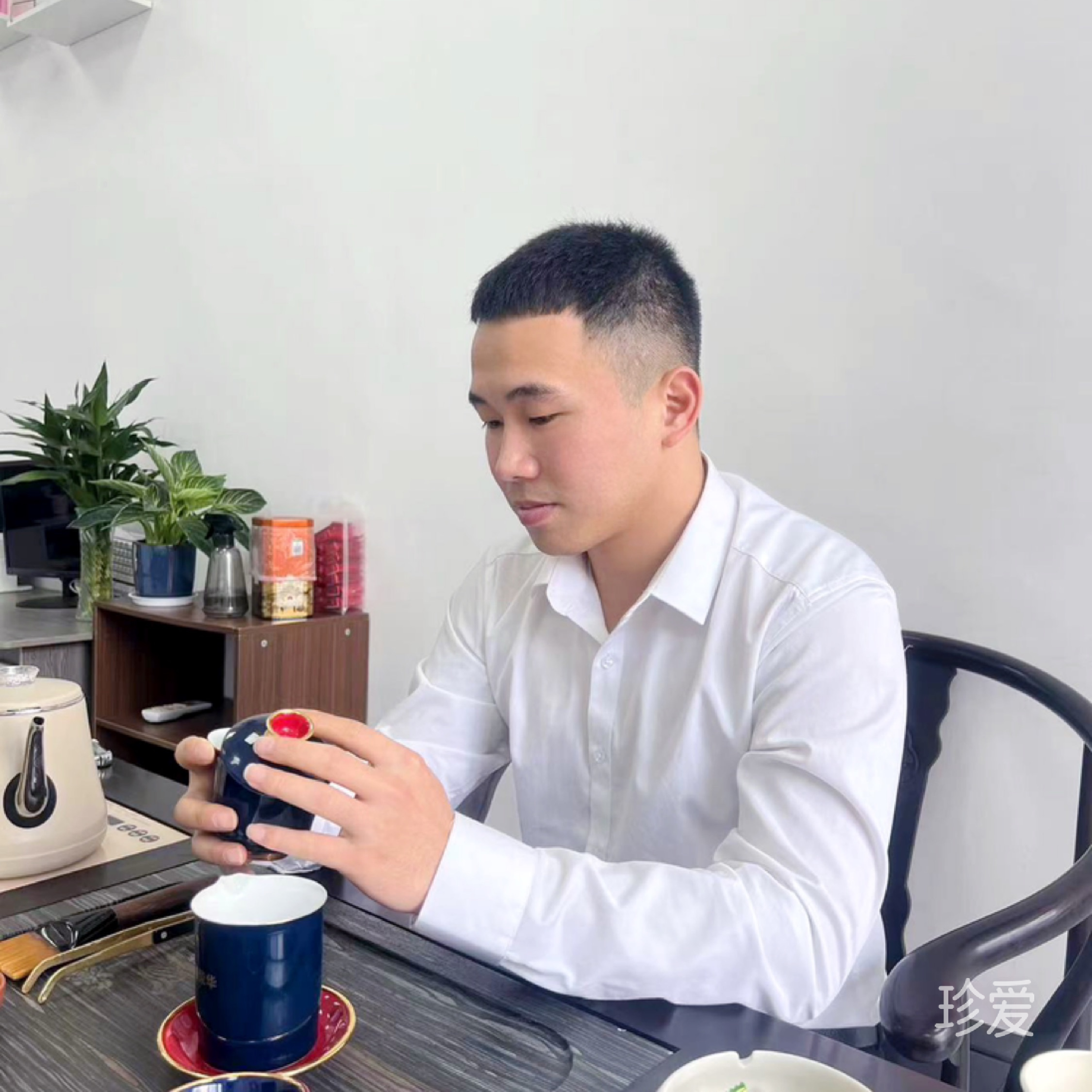 一只水豚