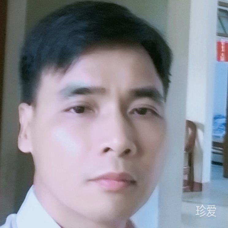 一抹夏凉
