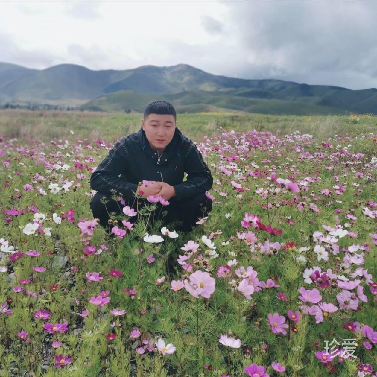 永恒的心