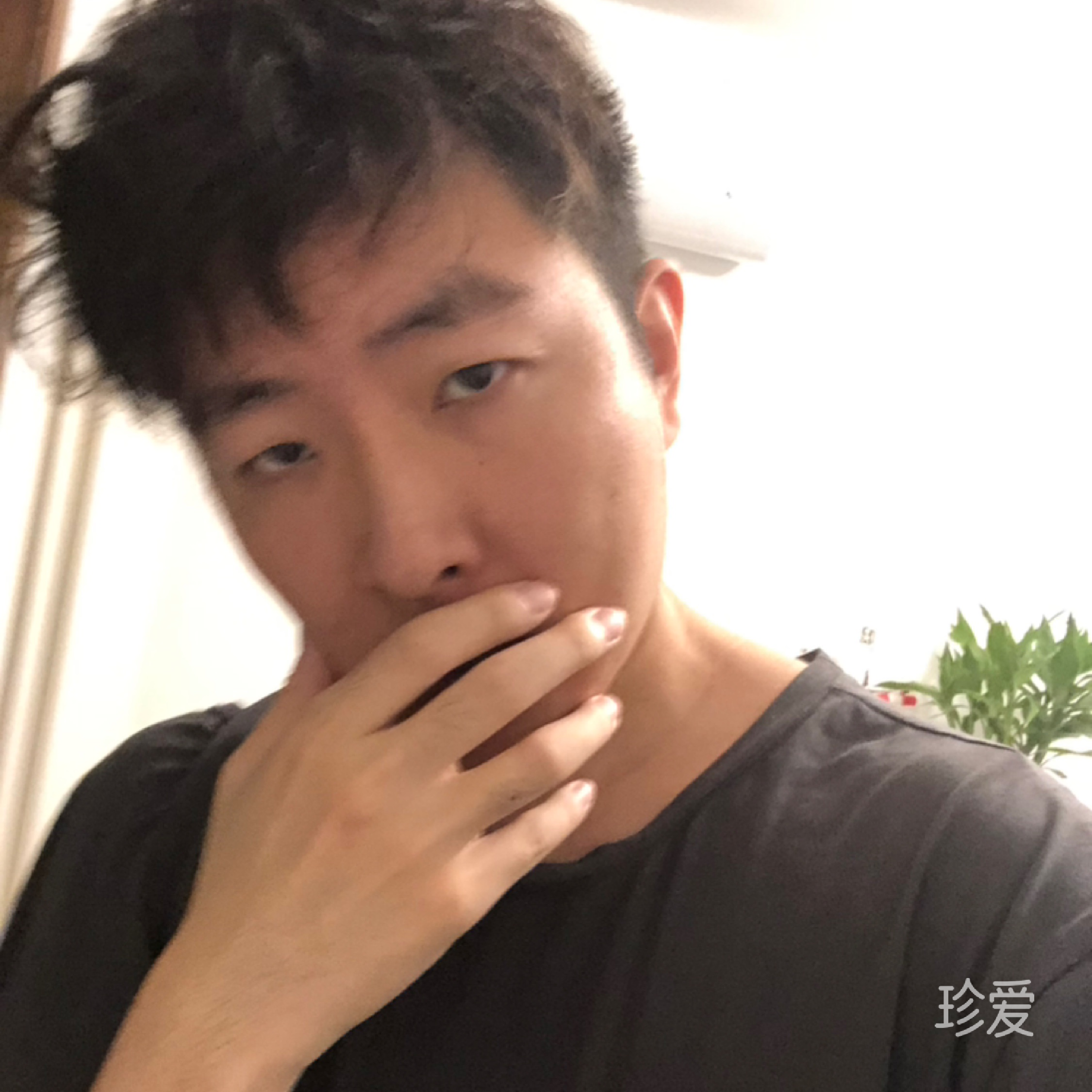 等风来