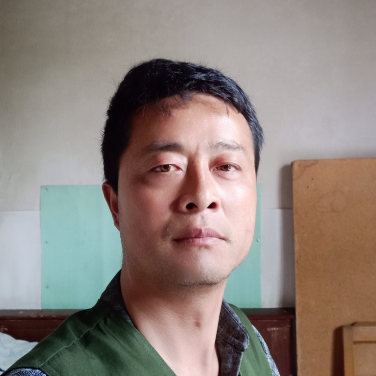 秋风不懂落叶情