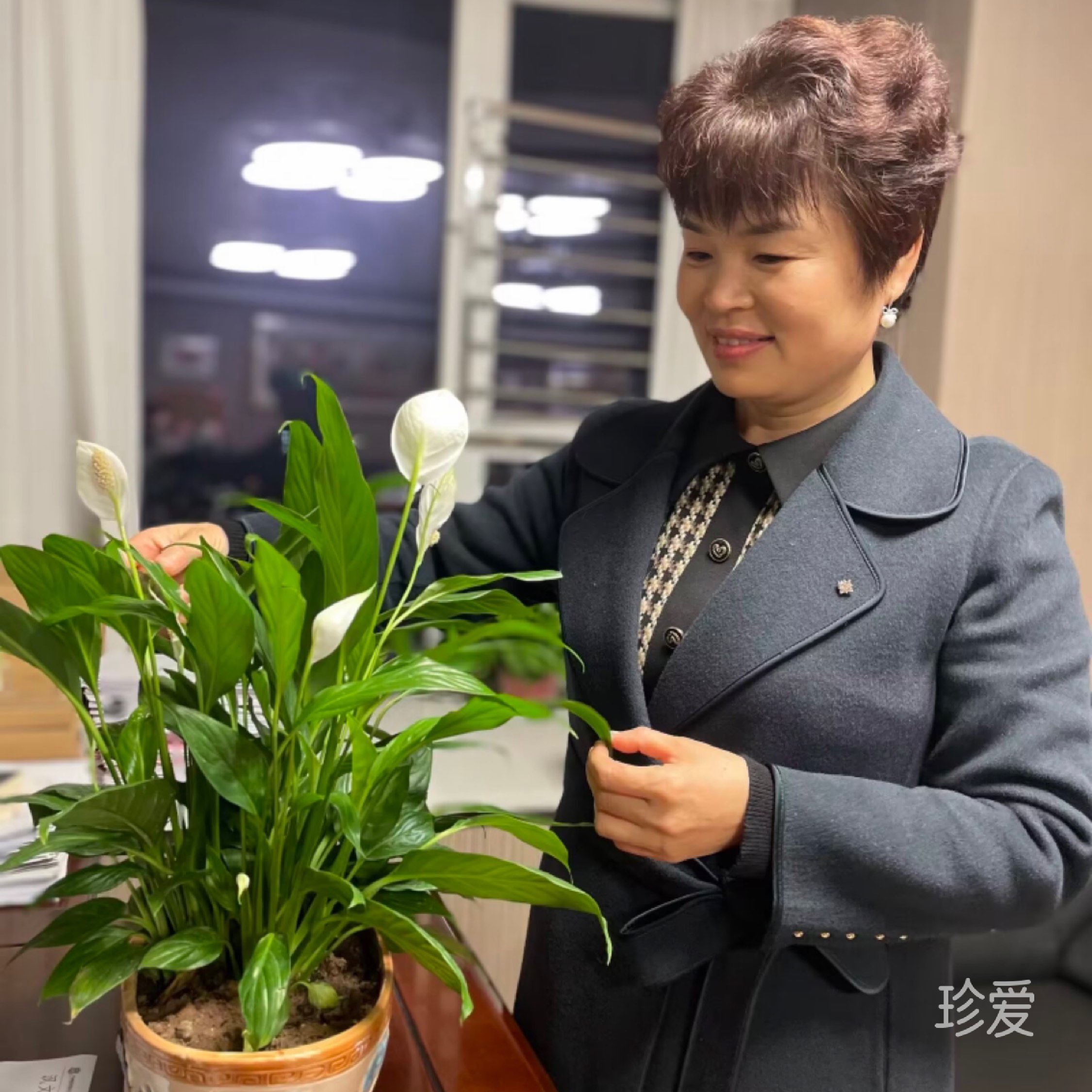 心心
